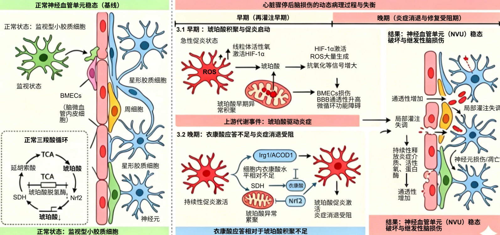 114656-20260123-00074_2026年35卷07期_吕宜霖.png